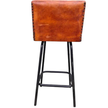 Darwin Leather Barstool